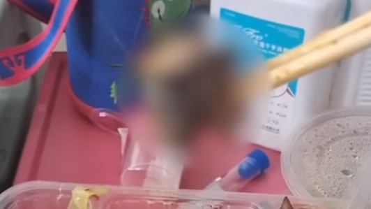 醫(yī)院里的老鼠又出事，滅鼠指引來(lái)了！