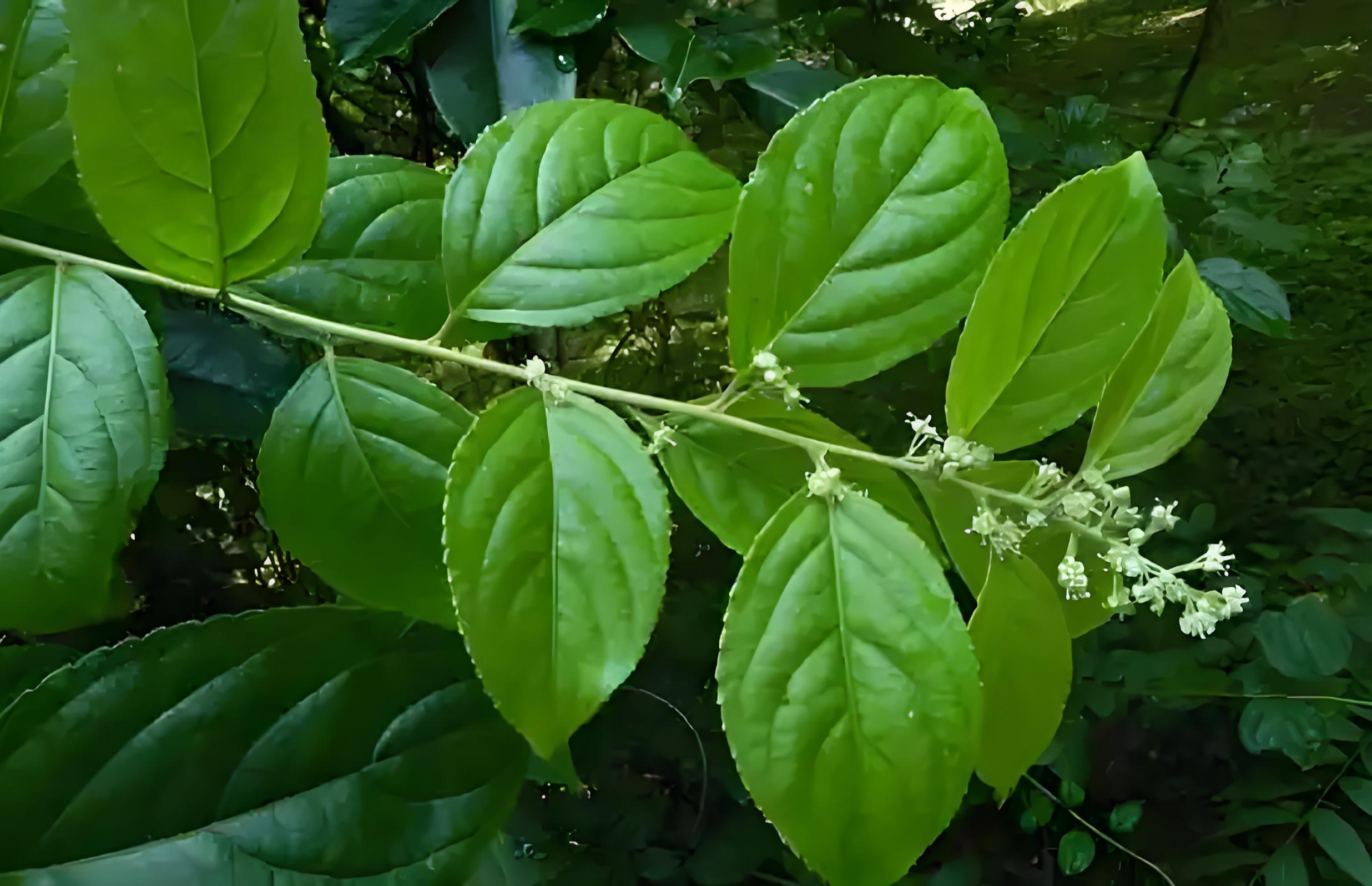 9bc47c3d-64ed-4c1a-93d4-df0258fb8361