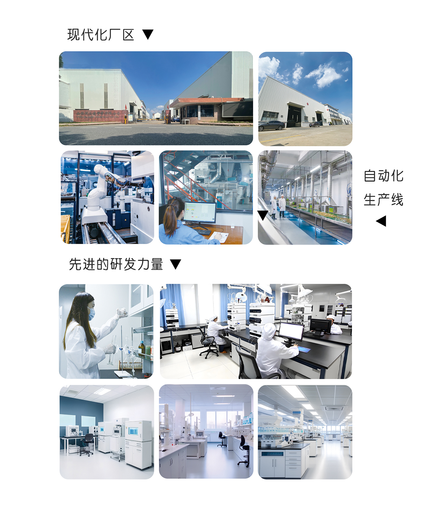 未標題-2