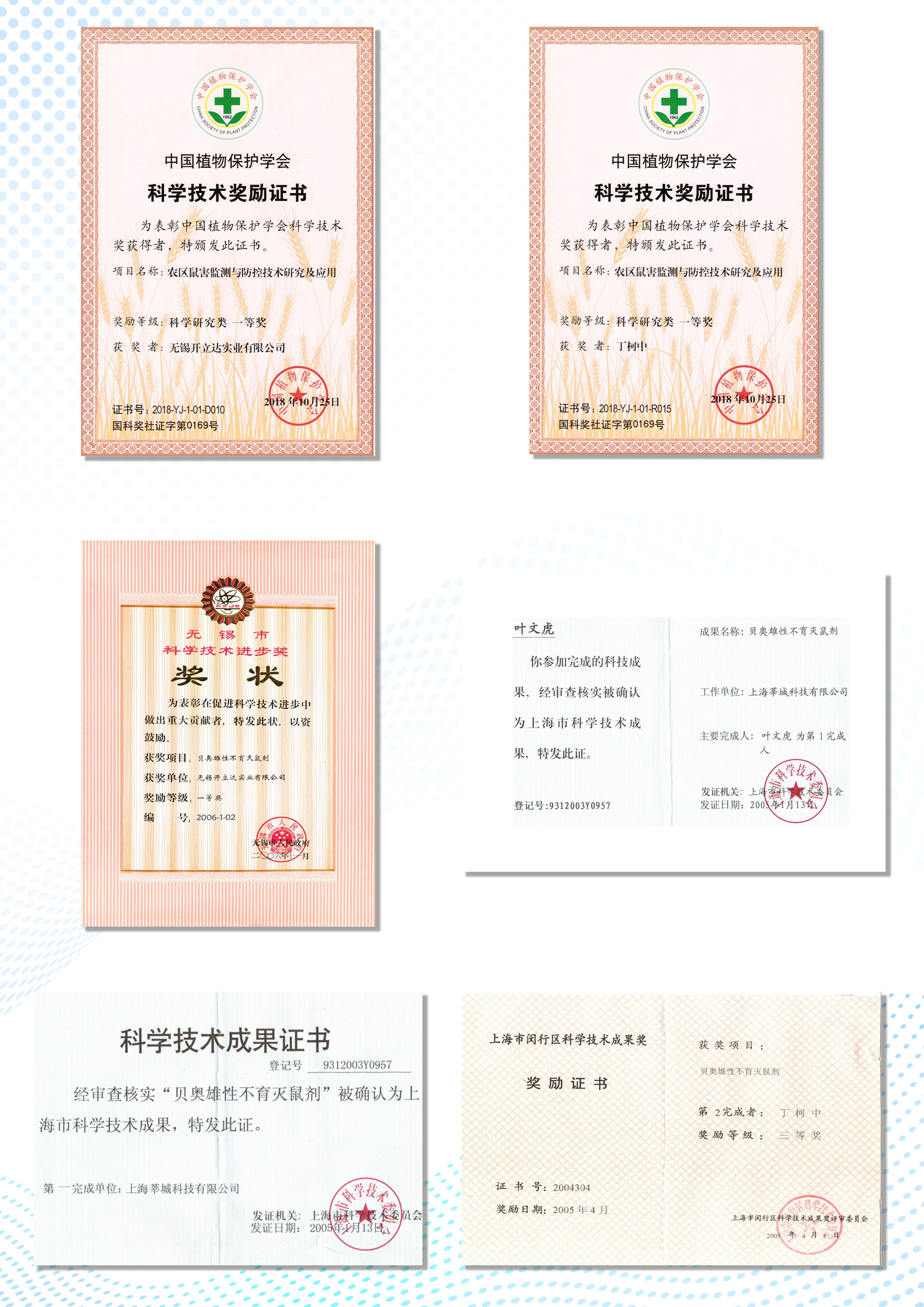 科學(xué)技術(shù)獎(jiǎng)項(xiàng)